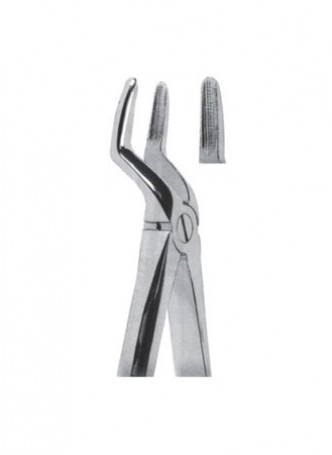 Extracting Forceps